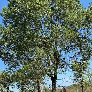 ������·�G���y�ӺϚg�𻨸��N�е�С�^�t�~ʯ骘��Sɽ���