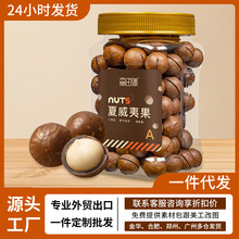 夏威夷果澳洲原产香罐袋装大颗粒坚果炒货孕妇零食品新货干果批发