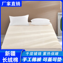 廠家直銷新疆長絨棉手工棉花被3斤被芯宿舍單人床墊褥子棉胎5斤