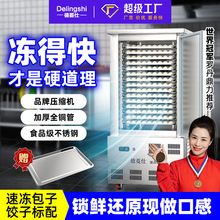 德菱仕速冻柜商用急冻风冷零下45低温速冻冰柜海参包子饺子速冻机