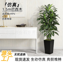 ���R�d��ɫ����٘����z�m�����������乤�Sֱ�N��������ľ