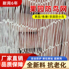 防鸟网涤纶大棚网格通风口天沟防蜂农田鱼塘果园驱鸟穿边