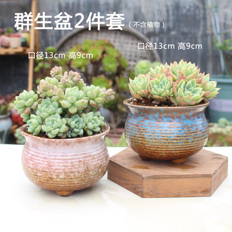 群生盆2件套