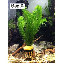 �~���쾰����ˮ�ݻ��w���Bƿ���ݸ��b��~���ֲ�����o�