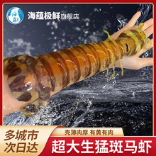 ���N�O�r�����r���r����R�r ���r���R�r���F�r�|���r�� 5-6�ɣ�