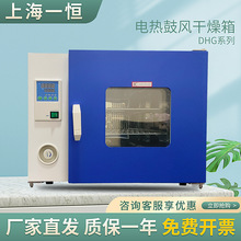 上海一恒 DHG-9023A 电热恒温鼓风干燥箱 烘箱 老化箱