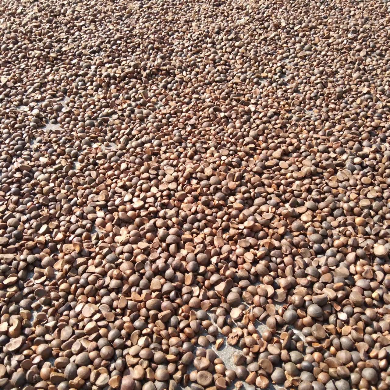 20211115_223329_0030