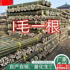 竹の竿を支えて竹の棚の竹の竿の菜園の竹竿の豆の角のキュウリのトマトの果物の野菜は藤の竿に登ります。