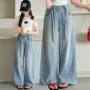 薄款儿童夏季女童裤子