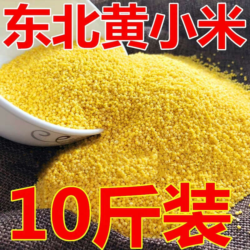 millet Breakfast Partially Prepared Products Steamed stuffed bun Orange Dousha Bao breakfast Quick-freeze commercial Nutritious breakfast Weiyang On behalf of