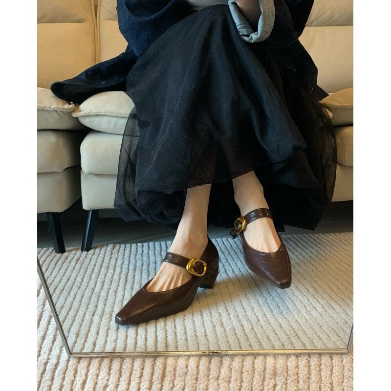 French High-End Mary Jane Shoes for Women with Metal Buckles, Retro Temperament Commuting Pointed Toe High-Heeled Shoes