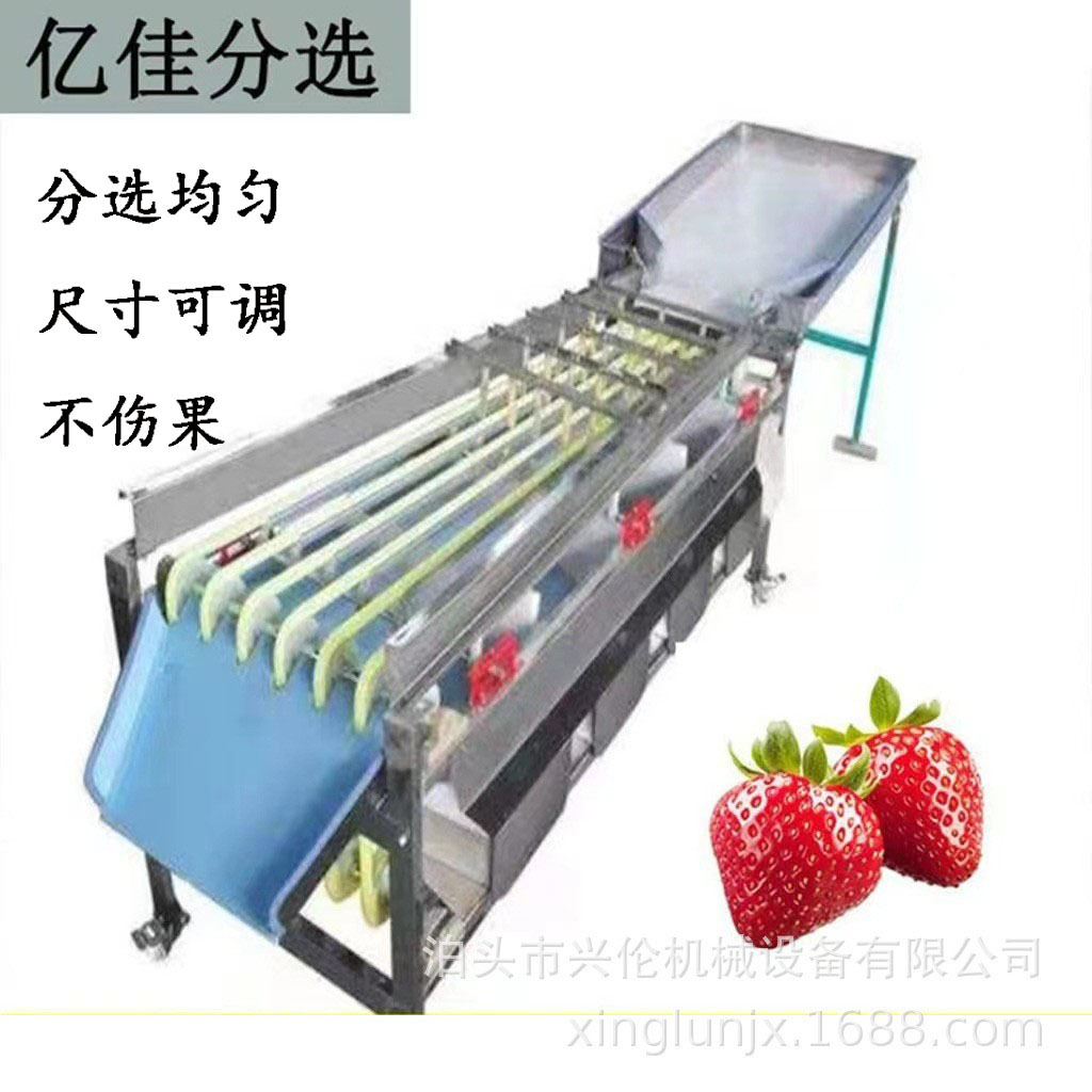 油茶果分级机牛油果筛选机橄榄分大小机家用小型水果皮带分选机器