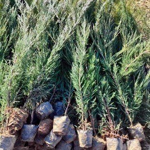 �ȰؠI�B���� �����Ȱ��� ����Ȱ� �Ȱ��� �ȰؾG�h�� ���G��ľ