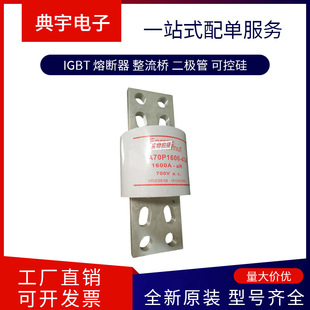 France Fuse A060Ud0.100T13 A060Ud0.125T13 A060Ud0.160T13