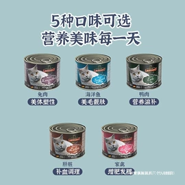 积木类;童T恤;动漫服