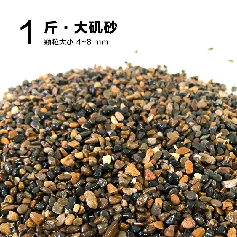 楸肩几搴曠爞閫犳櫙搴曟矙涔岄緹娌虫矙鍖栧