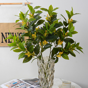 3��𻨘��~�@�־G���b��~�ӷ���𻨽�������Ƶ��b����¹�