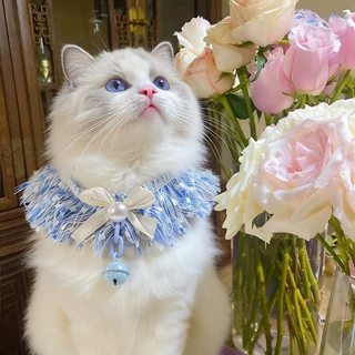 宠物项圈猫咪可爱铃铛挂饰宠物安全舒适猫脖项圈猫咪项圈宠物饰品