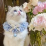 舒适可爱猫咪宠物项圈