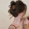 2#【Tea Brown】Medium Bear Clip-8cm