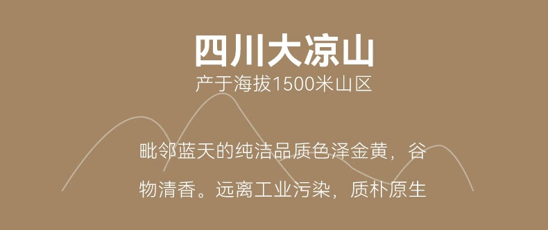 Tartary Buckwheat Tea Ku Qiao Cha 500g Cold Brewed Triangle Tea Bags Sugar Free Daily Herbal Drink quality and texture