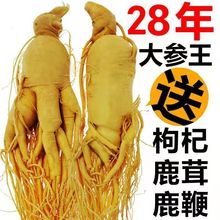 【参龄28年 长白山人参王】东北特产 批发野生特大干人参泡酒KK
