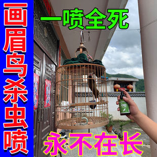 �B��ʭ�\�����w�һƿ�����î�ü�B�w�⚢�x��Ч��ʭ���\�x��x