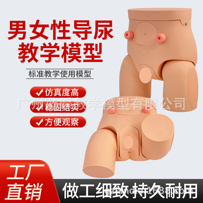 ����������ֳ����ģ�ͼ��׵���ģ����Ů�Ե���ѵ����ʾ��ϰģ��