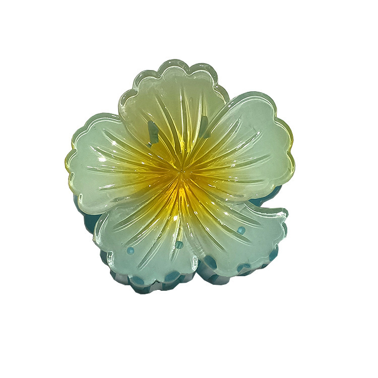 国境を越えたアマゾンの卵の花がグラデーションの花のキャンディー色の紫荊花の後頭部をつかんでサメの花を挟んで髪を伸ばします。|undefined