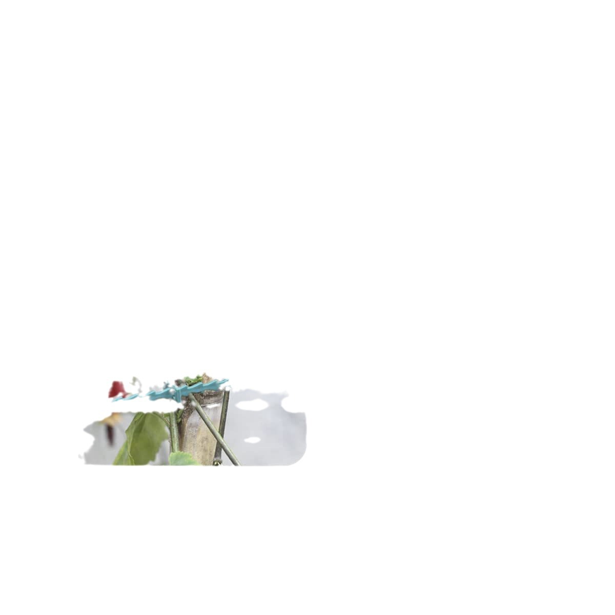 carousel-thumb-4