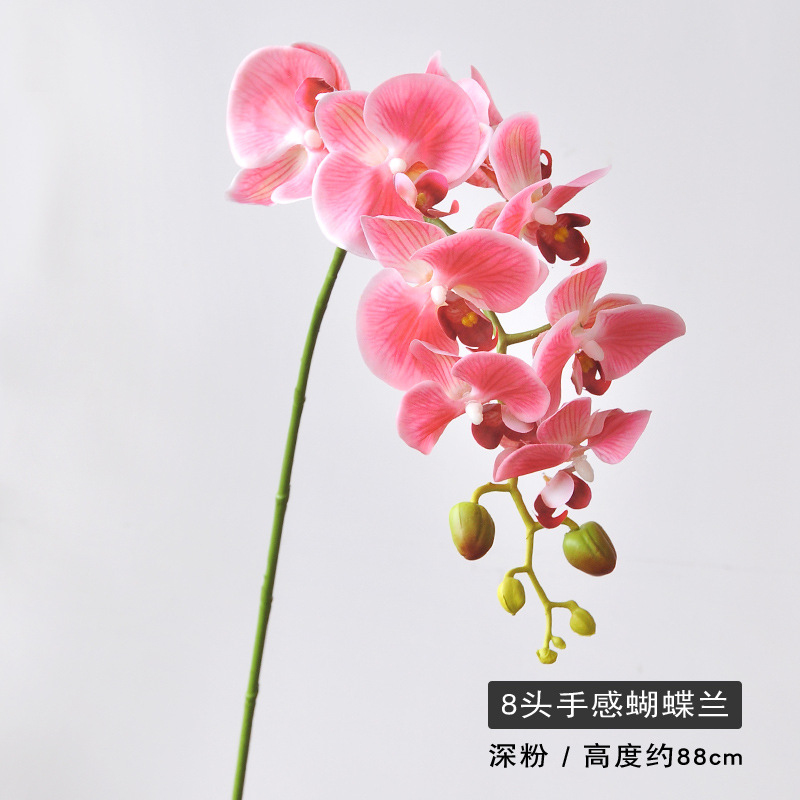 8 헤드 딥 파우더