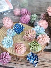 24720r@TOKAɹ}Qhbdiyɫɹ