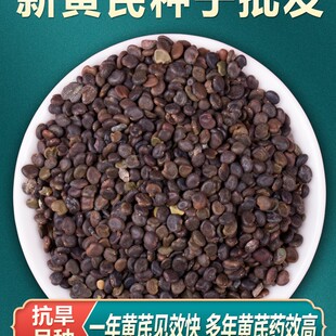 �������l�S�ηN����ș�ķN�Ӵ�ȫ���ηN���F�ηN�Ӽ��·N��