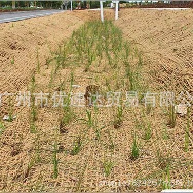 批发高速公路边坡生态椰网天然椰网CF生态网矿山生态修复绿化边坡
