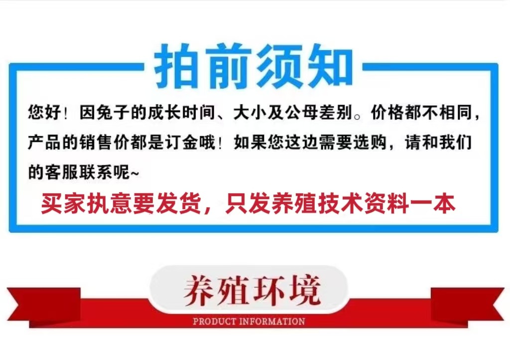 微信图片_20250313071015