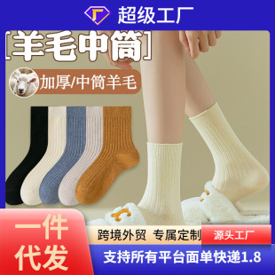 �T���p���ëŮ�m������Ͳ�m�ﶬ���LͲ�m�����m��ů�LͲ�m�����l