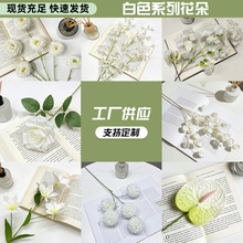 ���滨�ٻ����l��N����������㻨�S�Ĳ�ˇ�����m�Ҿӻ�c�b�