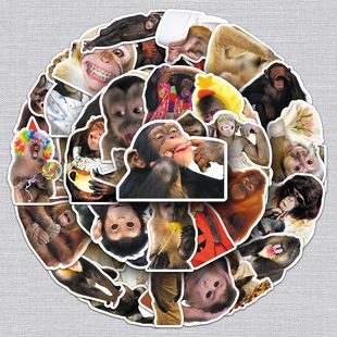 50����Ц��D�N����ֺ������ɱ������ˮ�b��������֙C��X�N��