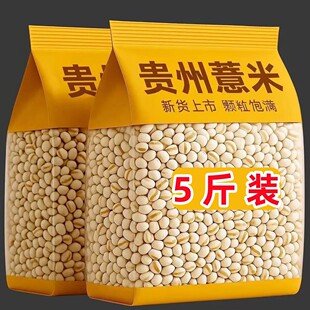 ���F؛5�����С޲���F���r����С޲���׻���؛2025�´�޲��