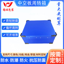 �пհ����D������匦�������ϰ�����ռ{��ɲ���pp����|��ˮ