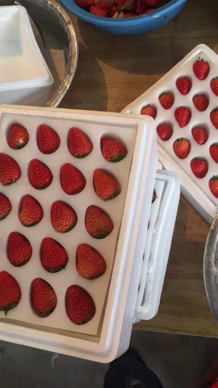 厂家供应白色草莓缓冲快递包装海绵/草莓成型快递包装海绵