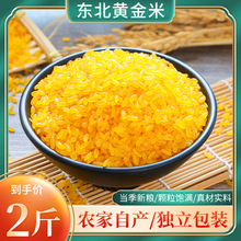 东北特产黄金米大米玉米粒五谷杂粮新米现磨粗粮米农家自产