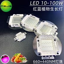 LEDʼɟ 10W20W30W50W100Wt{ֲL߷Nֲa