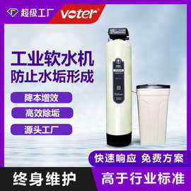 全自动工业循环水软水机过滤器去除水垢钠离子交换器软水机