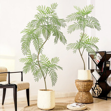 ���s�͏d��������b��{������ԼҾ��⾳�Gֲ�[������ֲ���쾰