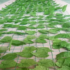 防护栏;铁丝网;护栏网