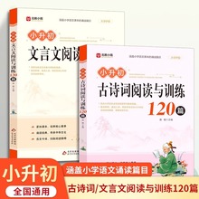 全2册小升初古诗词文言文阅读与训练120篇人教版 小学生必背古诗