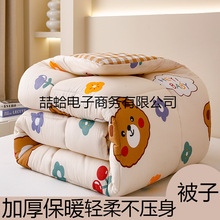 加厚保暖棉被太空被冬被芯单人学生宿舍丝绵被冬季被子四季通用