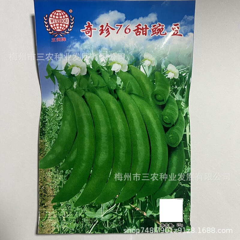 Wuzhou Brand Qizhen 76 Sugar Peas Sweet Peas Garden Planting High Yield Disease Resistant Four Seasons Vegetable Seeds Manufacturer Wholesale