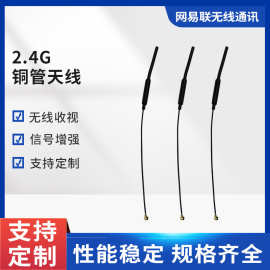 厂家2.4G铜管天线WiFi 蓝牙模块无线模块内置铜管增益天线ipex头